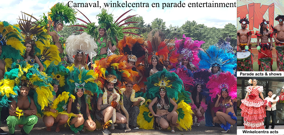 Caribische muziek Limburg