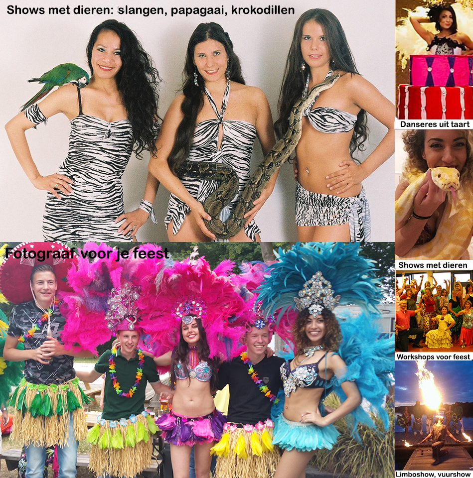 Caribisch live muziek evenement